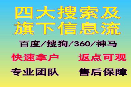精准投放：SEM推广的技巧与案例